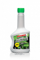 RW3019 Очиститель топливной системы (300 мл) (1*12) RW3019 Очиститель топливной системы (300 мл) (1*12)